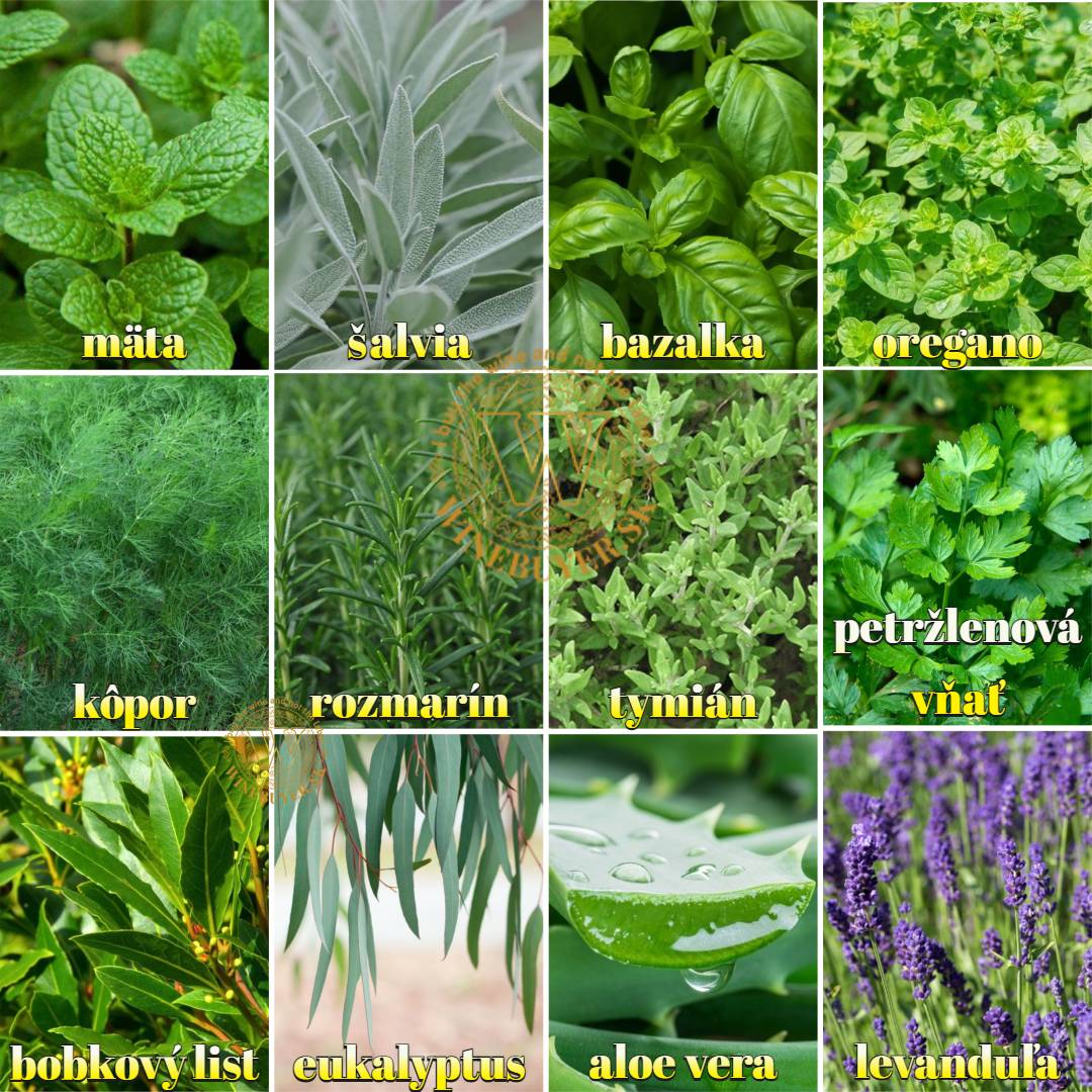 Flavours 1080_8 herbs